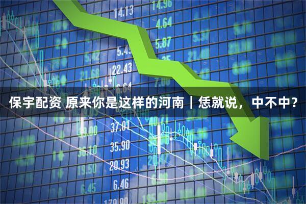 保宇配资 原来你是这样的河南｜恁就说，中不中？