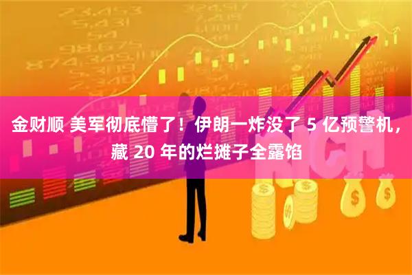 金财顺 美军彻底懵了！伊朗一炸没了 5 亿预警机，藏 20 年的烂摊子全露馅