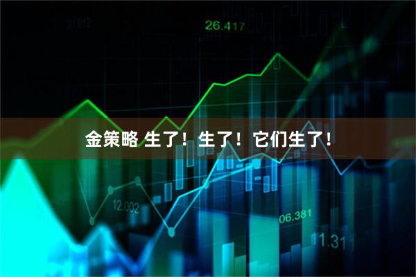 金策略 生了！生了！它们生了！