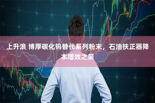 上升浪 博厚碳化钨替代系列粉末，石油扶正器降本增效之策